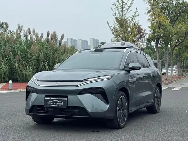 BYD Tang L 2025, 10 000 км