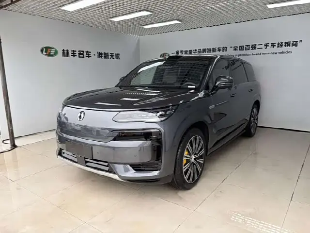 Denza N9 2025, 8 000 км