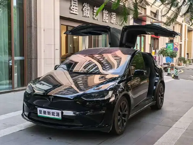 Tesla Model X 2023, 51 000 км