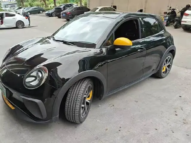 Ora Good Cat GT (03 GT) 2023, 8 000 км