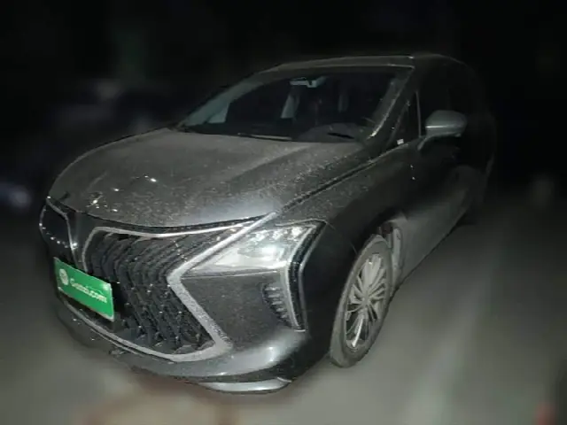 Dongfeng Forthing Yacht 2024, 13 200 км