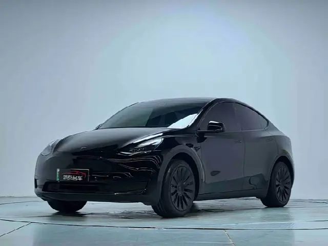 Tesla Model Y 2022, 59 000 км