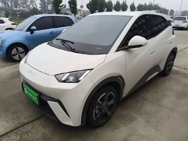 BYD Seagull 2024, 12 200 км