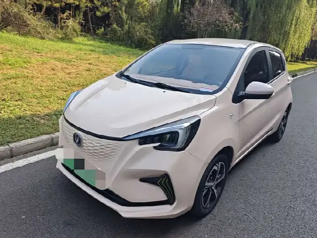 Changan BenBen E-Star 2022, 28 000 км