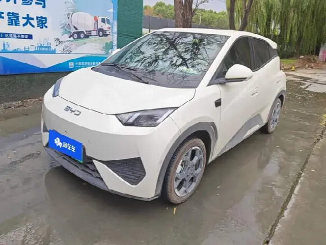 BYD Seagull 2025, 5 000 км