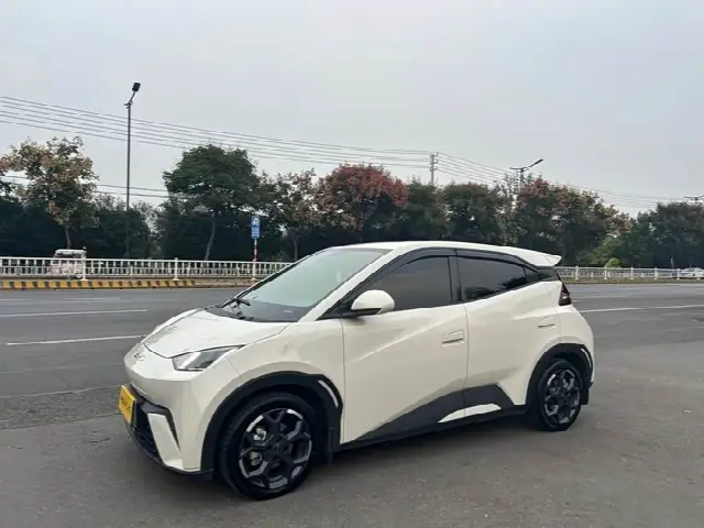 BYD Seagull 2025, 34 000 км