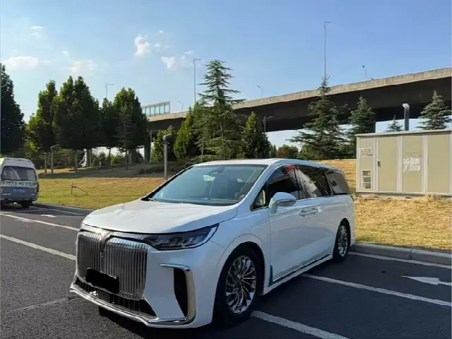 Voyah Dream 2024, 90 000 км
