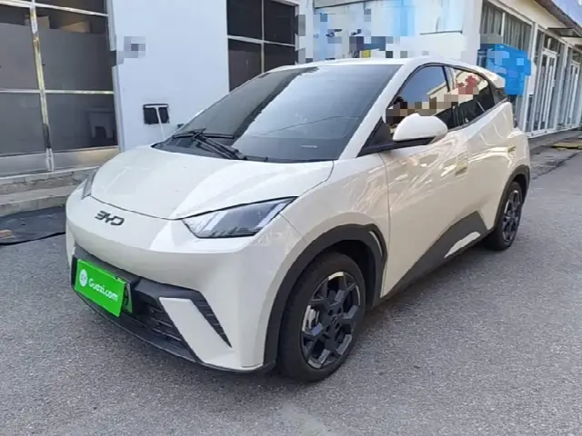 BYD Seagull 2025, 17 500 км