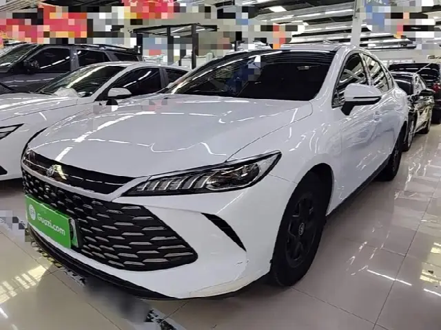 BYD Qin Plus 2025, 18 600 км