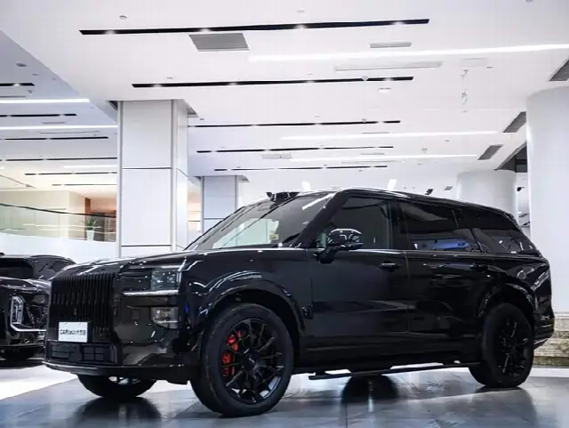 Zeekr 9X 2025, 24 000 км