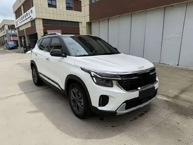 Kia Seltos 2023, 13 000 км
