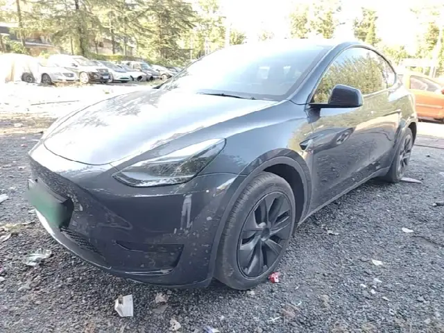 Tesla Model Y 2024, 63 900 км