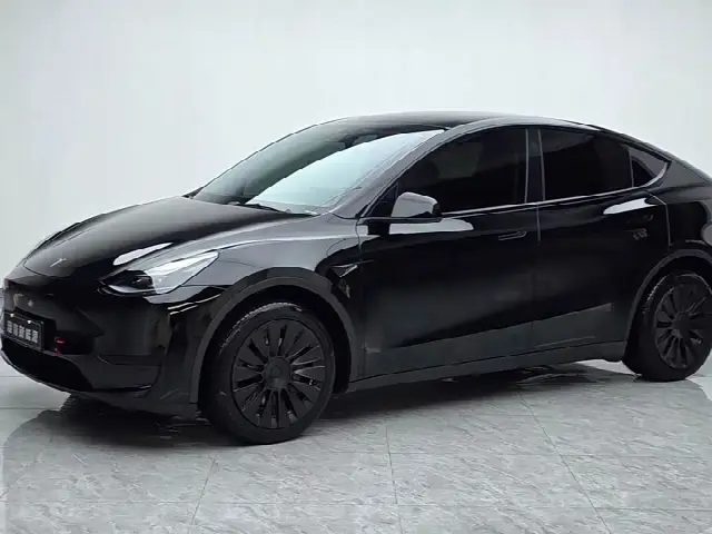 Tesla Model Y 2022, 60 000 км