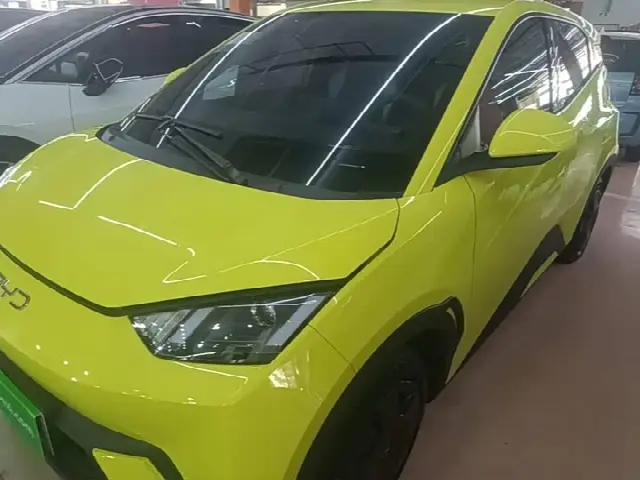 BYD Seagull 2024, 18 500 км