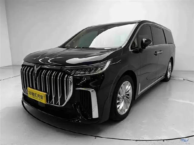 Voyah Dream 2024, 61 000 км