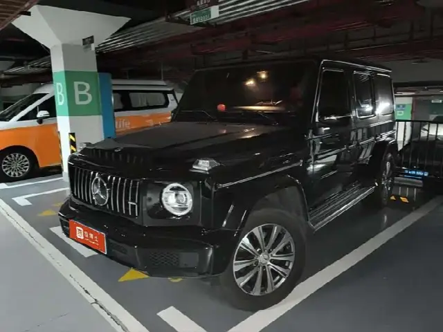 Mercedes-Benz G-Class 2024, 51 000 км