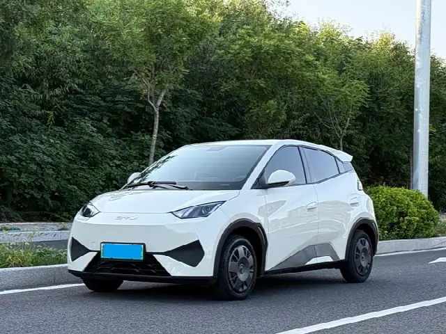 BYD Seagull 2025, 12 000 км