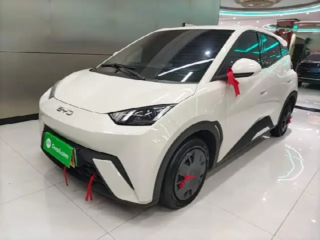 BYD Seagull 2024, 33 700 км