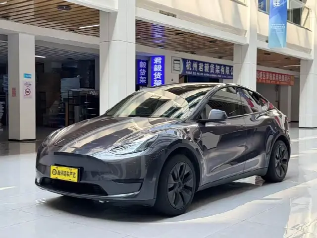 Tesla Model Y 2023, 78 000 км