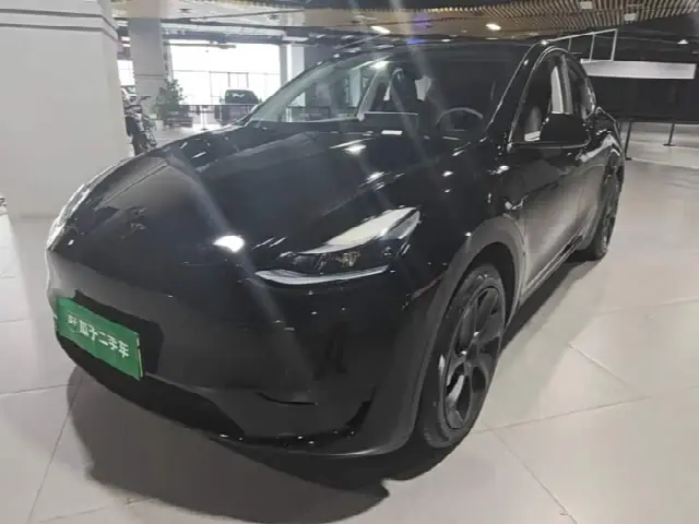 Tesla Model Y 2022, 69 100 км