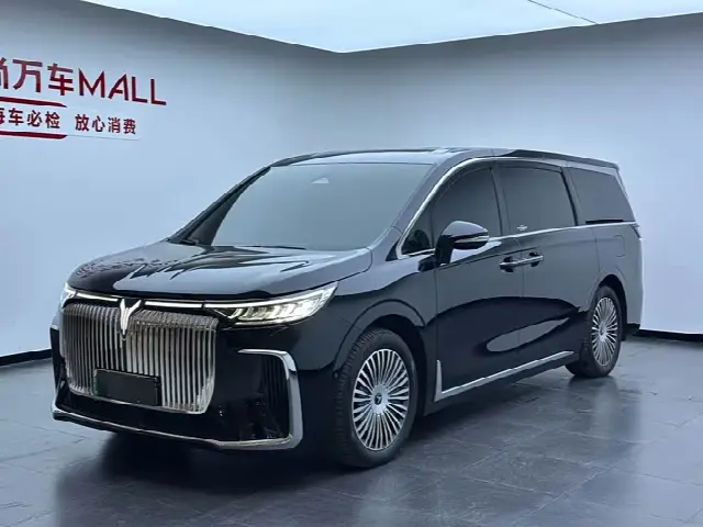 Voyah Dream 2025, 53 000 км