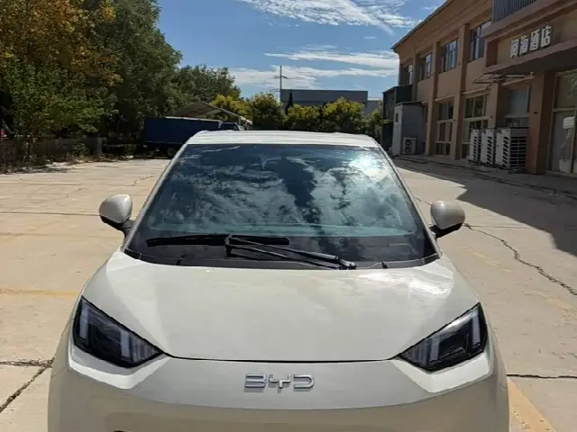 BYD Seagull 2024, 36 000 км