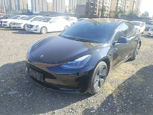 Tesla Model 3 2021, 80 300 км