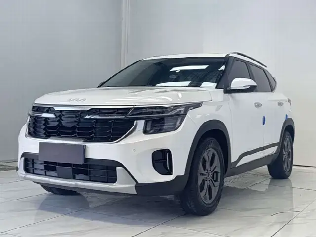 Kia Seltos 2023, 12 000 км