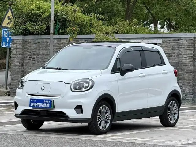 Leapmotor T03 2024, 20 000 км