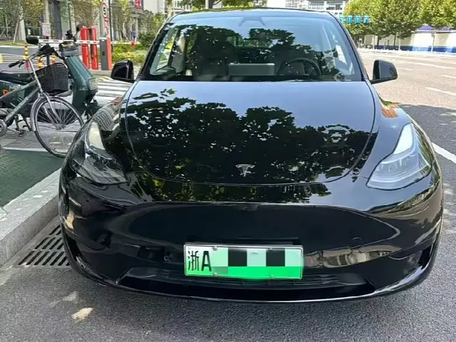 Tesla Model Y 2022, 90 000 км