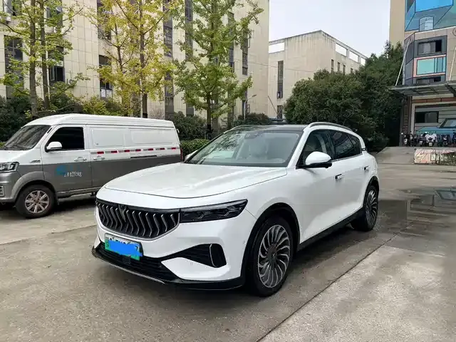 Voyah Free 2021, 60 000 км