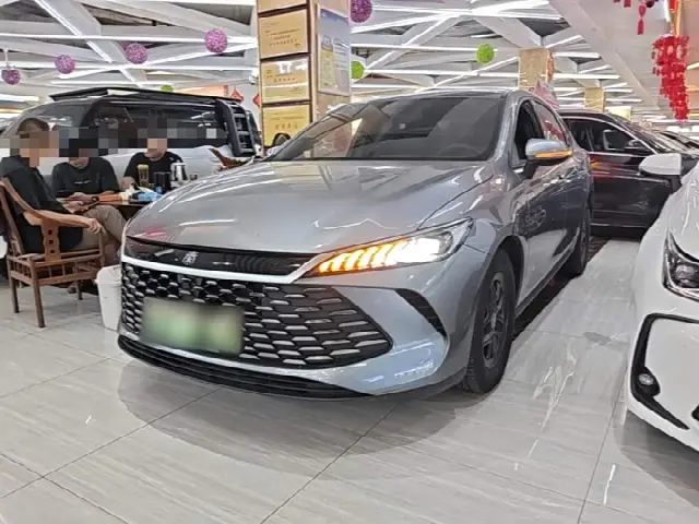 BYD Qin Plus 2025, 17 700 км