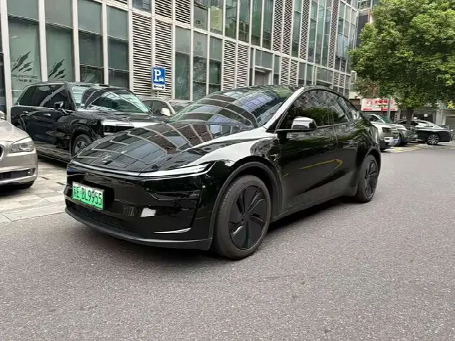 Tesla Model Y 2025, 36 000 км