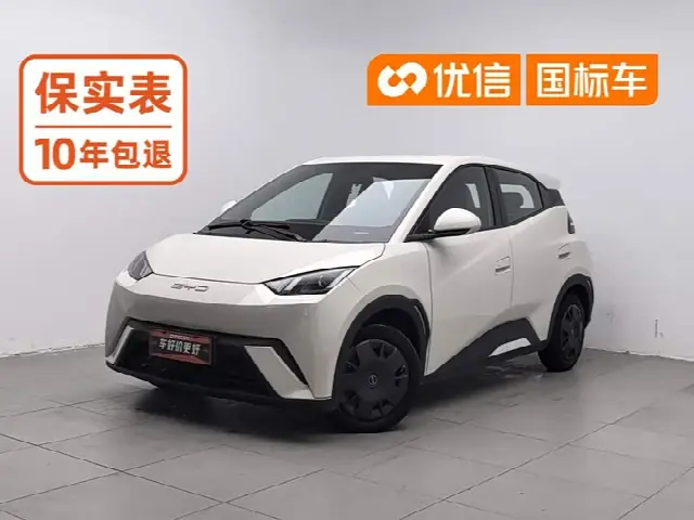 BYD Seagull 2023, 24 500 км