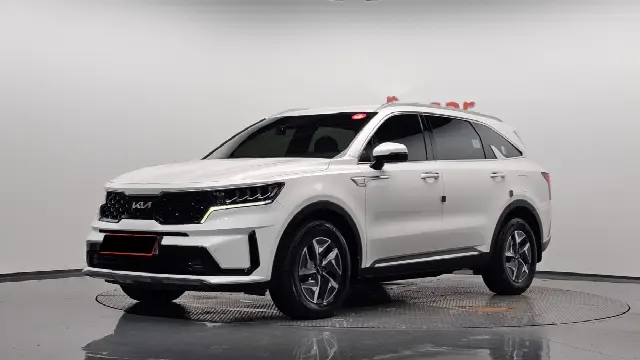 Kia Sorento 2020, 67 224 км