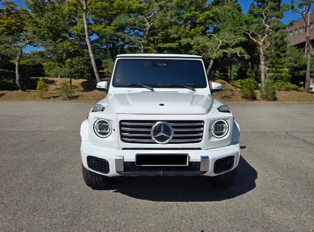 Mercedes-Benz G-Class 2024, 2 600 км