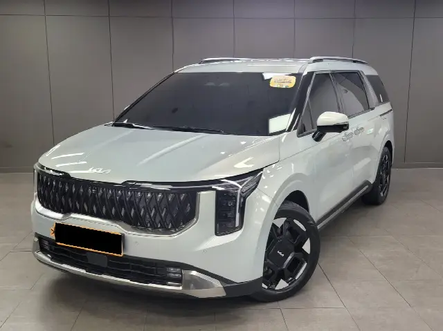 Kia Carnival 2023, 36 994 км