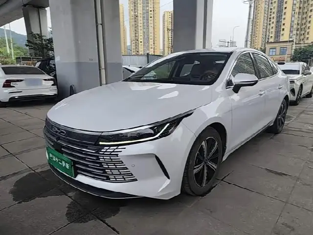 BYD Destroyer 05 2022, 33 500 км