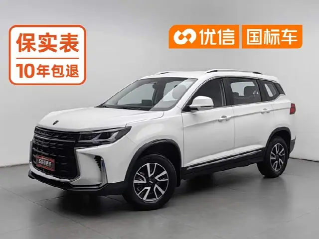 Dongfeng Forthing T5 2023, 10 200 км