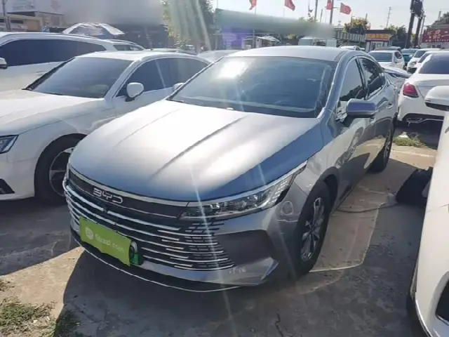 BYD Destroyer 05 2024, 29 900 км