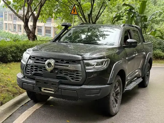 Great Wall Pao 2023, 29 000 км
