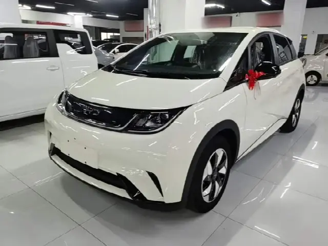 BYD Dolphin 2025, новый