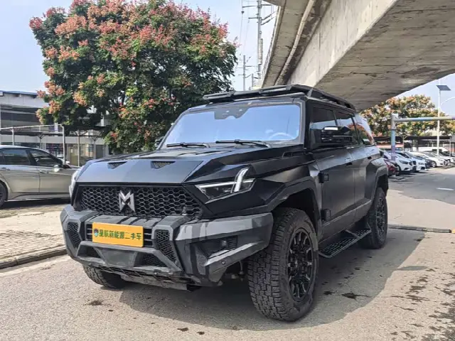 Dongfeng Mengshi M-Hero 917 2023, 22 000 км