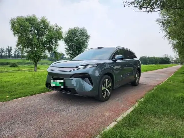 BYD Tang L 2025, 8 200 км