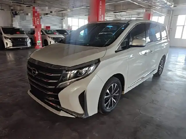 GAC Trumpchi M8 2024, 55 800 км