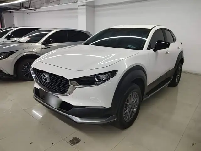 Mazda CX-30 EV 2021, 74 000 км