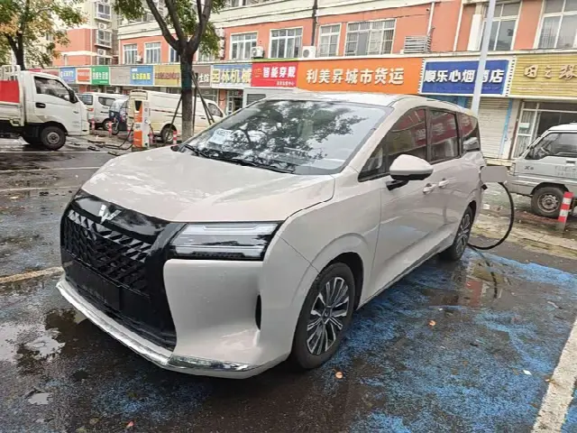 Wuling Starlight 730 Hybrid/EV 2025, 5 000 км