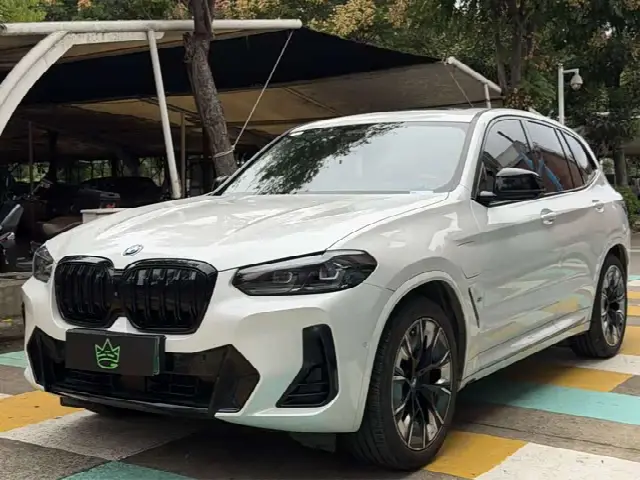 BMW iX3 2023, 77 000 км