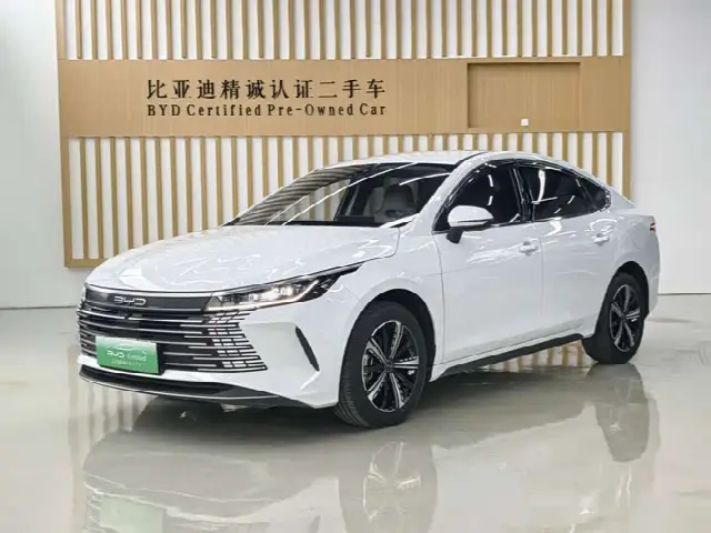 BYD Destroyer 05 2024, 42 800 км