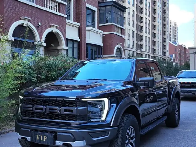 Ford F-150 Raptor 2023, 49 000 км